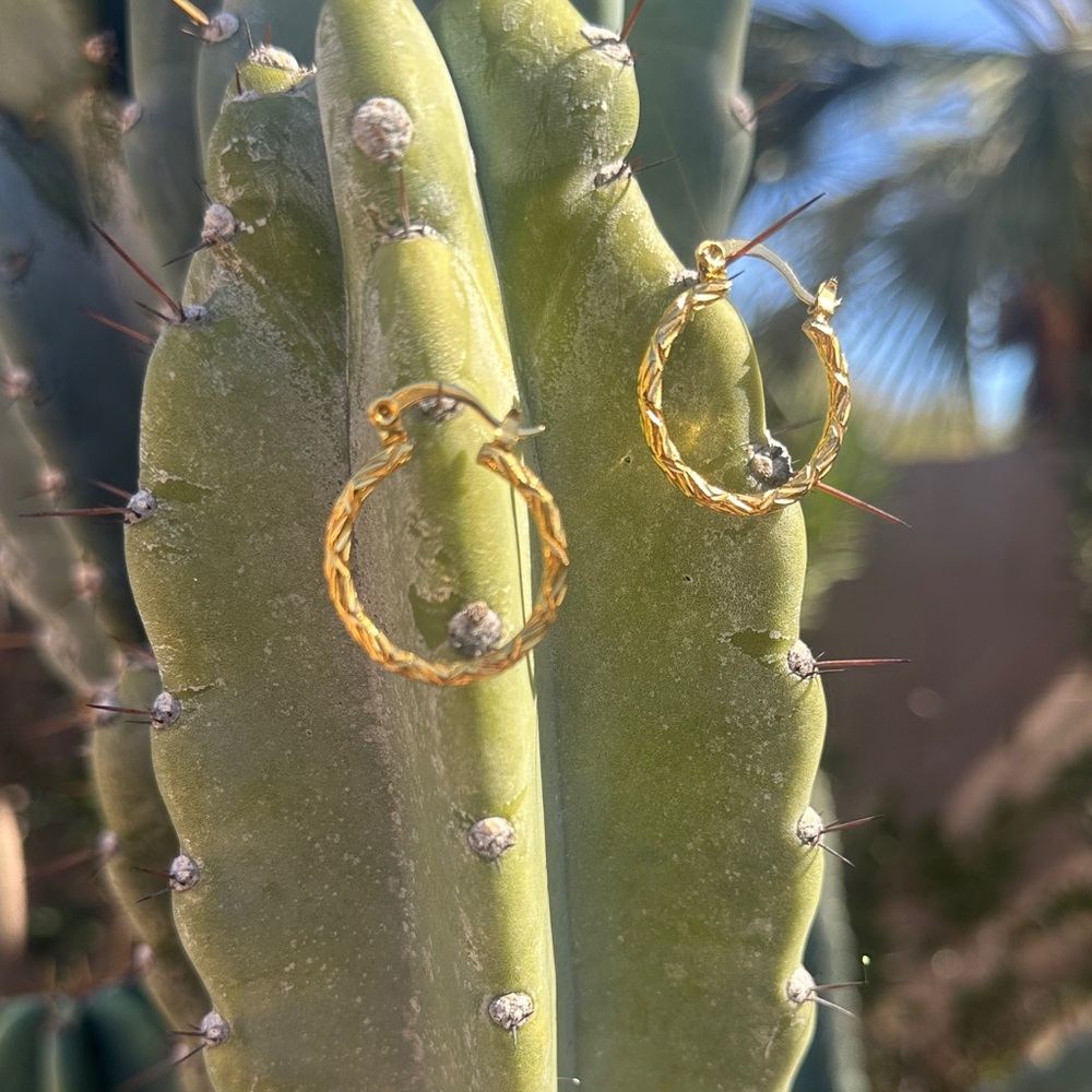 Bracha twisted Gold Hoop Earrings
